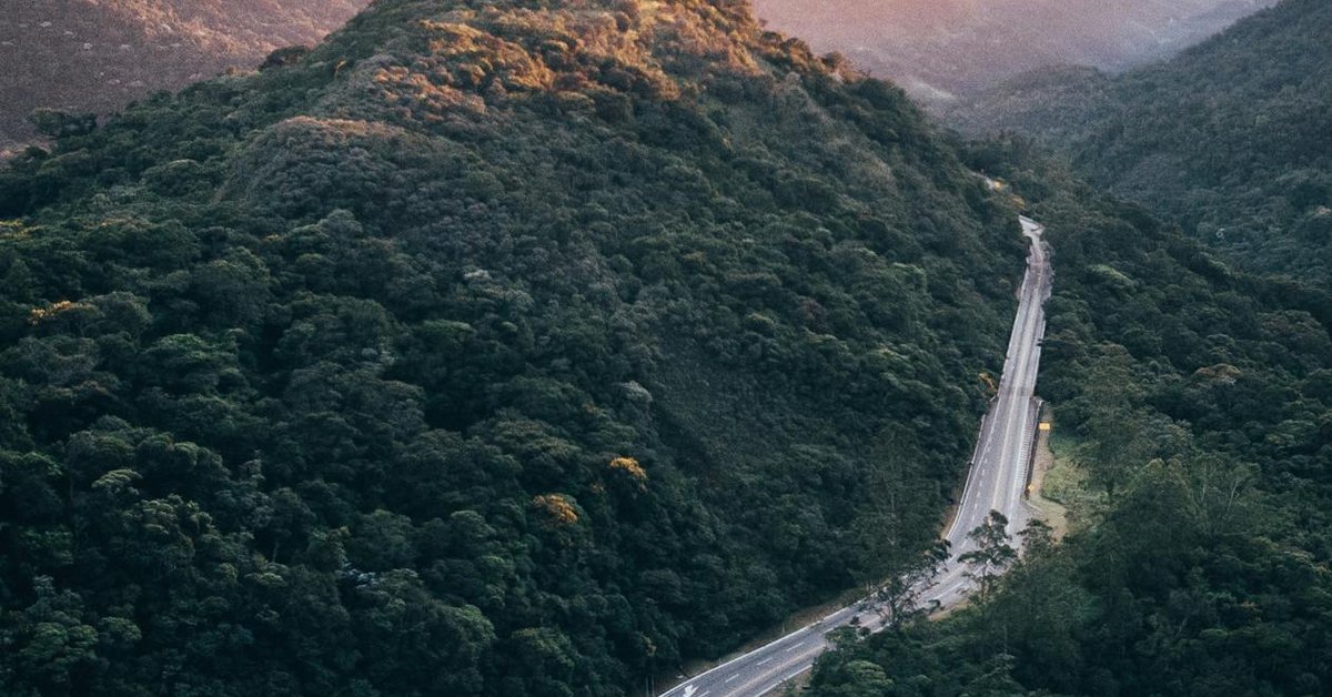 IPBES Approves Landmark Business and Biodiversity Assessment in Manchester