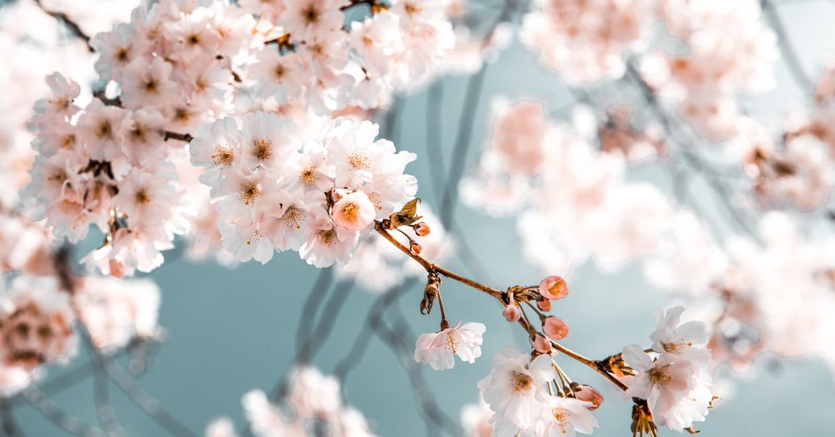 North Korea Fires Ballistic Missiles Into East Sea Ahead of Party Congress