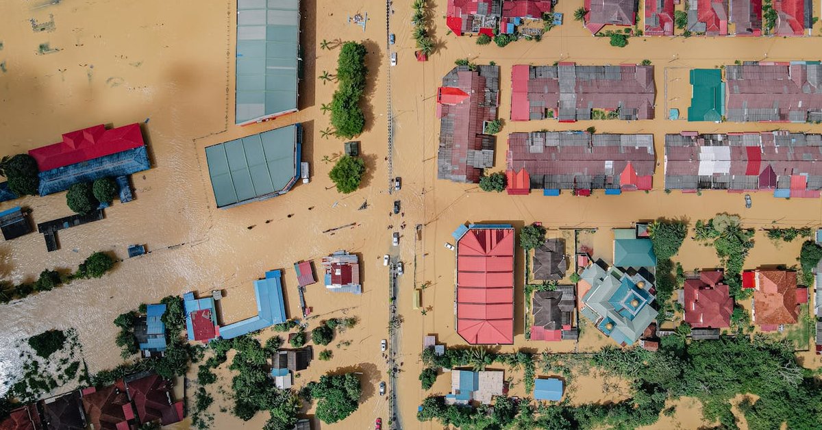 Southern Africa Floods Kill Over 200, Kruger Park Devastated