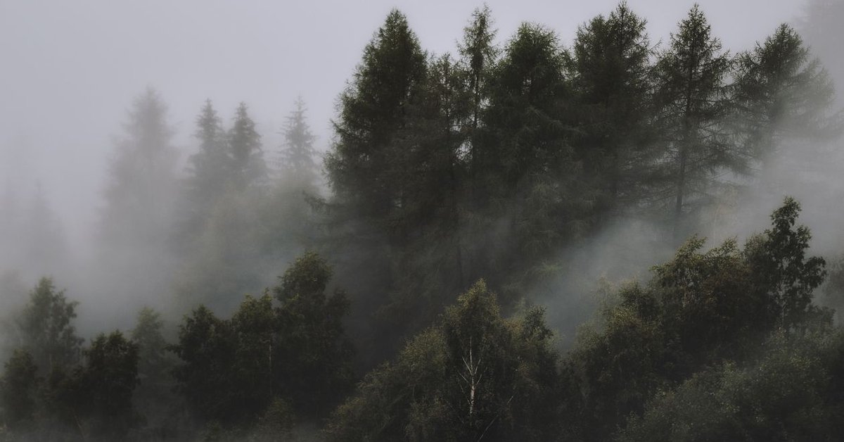 Western US Heat Dome Raises Record and Wildfire Risks